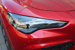 Stelvio Quadrifoglio Anniversario 100 - 1.Hand, LED, Pano, Wenig KM Vorschau 5