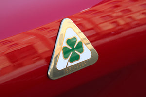 Stelvio Quadrifoglio Anniversario 100 - 1.Hand, LED, Pano, Wenig KM Vorschau 6