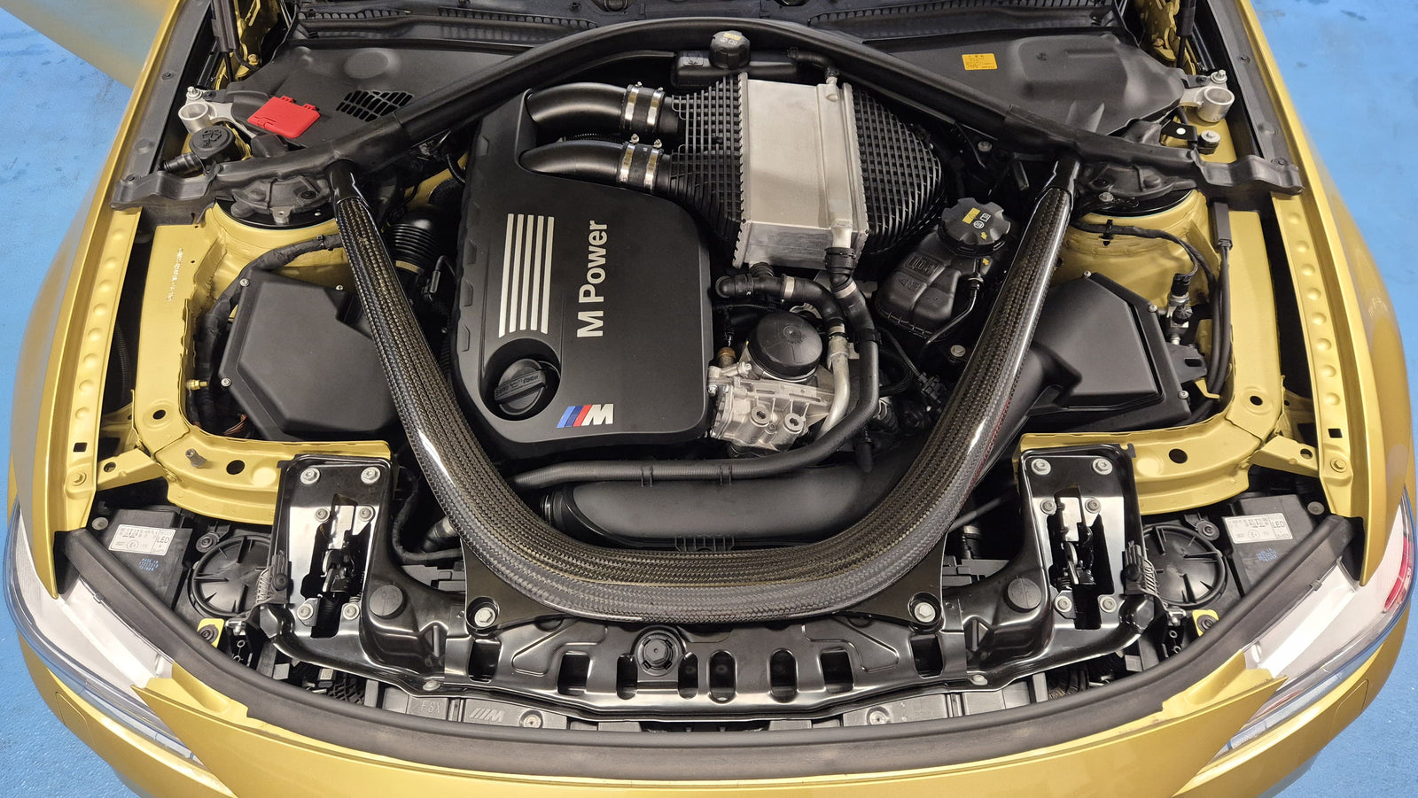 BMW M4 F82 - im Kundenauftrag (Wenig KM, Handschalter, Kein OPF, Carbon) Bild 27