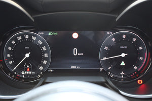 Stelvio Quadrifoglio Anniversario 100 - 1.Hand, LED, Pano, Wenig KM Vorschau 15