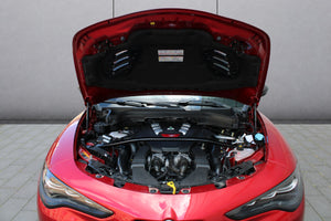 Stelvio Quadrifoglio Anniversario 100 - 1.Hand, LED, Pano, Wenig KM Vorschau 23